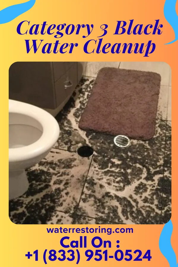 Category 3 Black Water Cleanup in Central City, PA