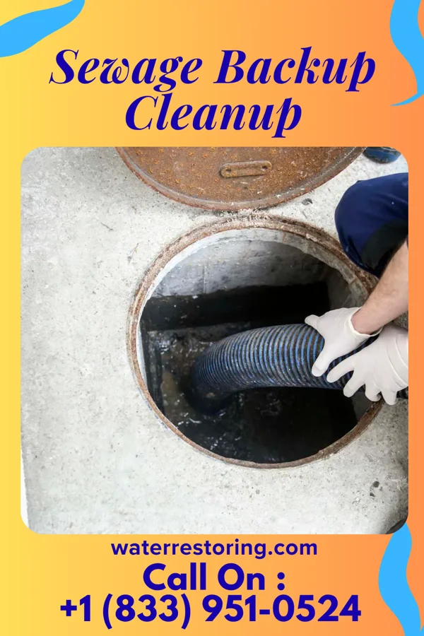 Sewage Backup Cleanup in Central City, PA