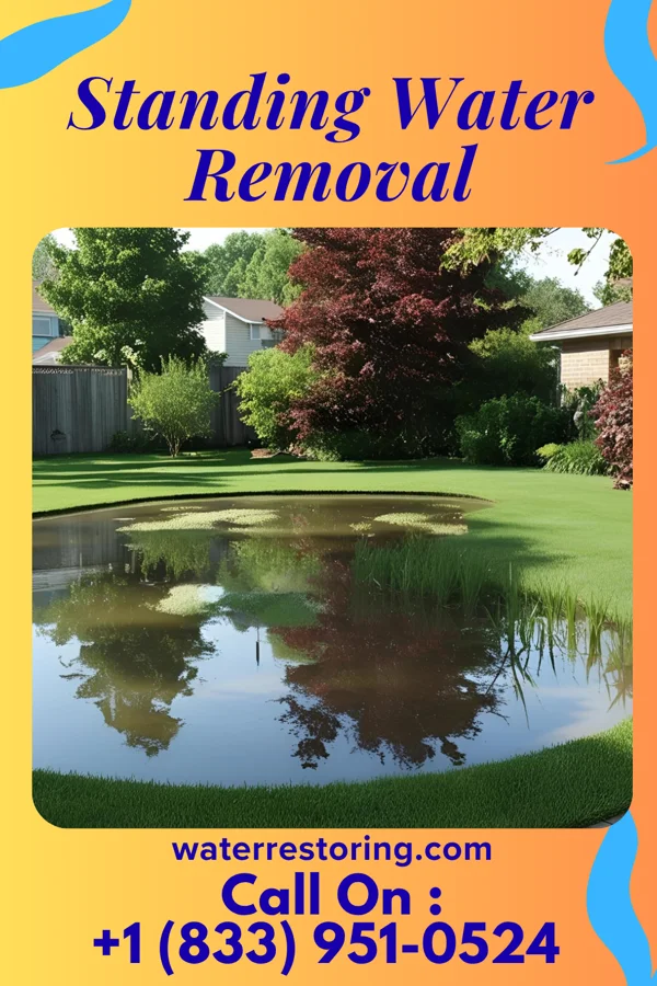 Standing Water Removal in Central City, PA